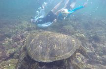 Galapagos 5-Day Tour Beyond the Islands