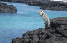 Galapagos 5-Day Tour Beyond the Islands