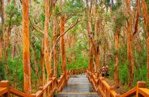 Nahuel Huapi Lake Cruise with Victoria Island and Arrayan Forest Walk