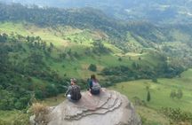 Hiking High Andean Forests
