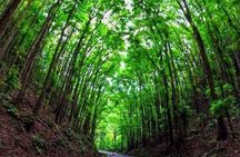 Bohol Tour with Bike Zip Adventure