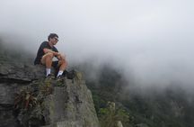 Hiking High Andean Forests