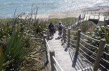 Punakaiki Blow Holes & Pancake Rocks Scenic Tour