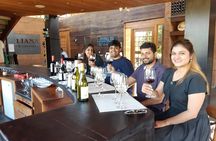 Casablanca Valley Wine tour + Valparaiso (small group tour)
