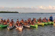 Bio Bay Night Kayaking with Transport from San Juan Area 