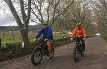 E-Bike Wine Tour Stellenbosch (Half Day)
