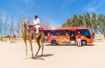 Full-Day Bahrain Guided Tour