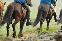Golden Circle & Viking Horse Experience