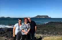 Jeju Island Private Taxi Tour : 3 Full days