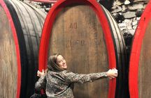 Small Group Wine Tasting in Tuscany with Vineyard Visit