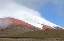 Premium Cotopaxi Full Day Tour