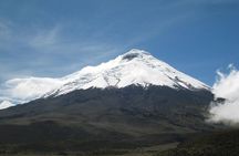 Premium Cotopaxi Full Day Tour
