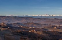 Private Barolo / Barbaresco - Piedmont Wine Tours and Tastings 