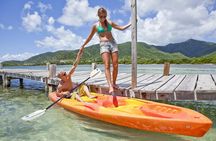 Antigua Zipline & Kayaking Combo From St. John's