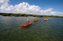 Antigua Zipline & Kayaking Combo From St. John's