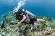 Discover scuba ,MUSA and Manchones reef dive without license 