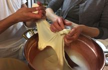 Organic Wine Tasting, Mozzarella, Gnocchi & Tiramisu Workshop