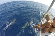 Flounder Yacht Sailing Tours