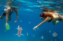 Palancar, Columbia and El Cielo Cozumel Snorkeling Tour
