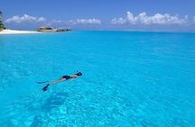 Bora Bora Lagoon Snorkeling Tour by Private Boat