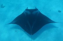Combo Diving and Snorkeling Full Day Tour
