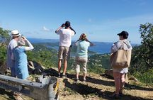 Private Four Hour Historic/Beach Tour with Star Fish Tours & Taxi