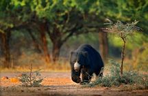 Sri Lanka Beach Best Tour Of 11 Days