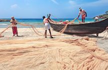 Sri Lanka Beach Best Tour Of 11 Days