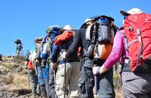 Mt.Kilimanjaro Short Trek Safari