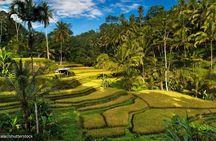 Bali Culture and Temple Tour