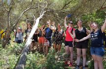 Small-Group Cova de Coloms Sea Caving Tour in Mallorca