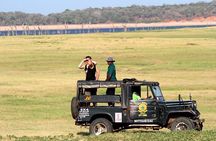 From Anuradhapura: Minneriya National Park Private Jeep Safari