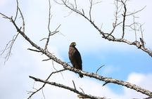 Half Day Safari at Bundala National Park