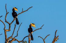 Half Day Safari at Bundala National Park
