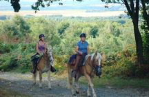 Horse riding in the French countryside between Paris and Lille