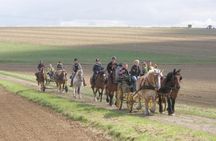 Horse riding in the French countryside between Paris and Lille