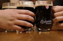 Czech Beer Tasting in Prague