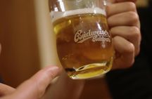 Czech Beer Tasting in Prague