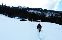 Kedarkantha Trek