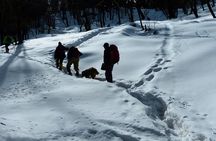 Kedarkantha Trek