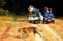 Private 2 Nights Short Escape To Jim Corbett