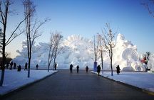 4-Day Harbin City Private Tour with Ice and Snow Festival with Lunch