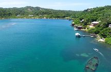 Roatan Mangrove Tunnel Culture Tour on a Water Taxi Tuk-Tuk