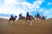 Zagora Desert Tour 2 days 1 night from Marrakech