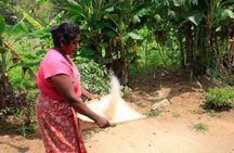 Exclusive : Day Trip Hiriwaduna Village and Sigiriya from Kandy