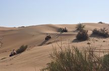 Dubai Desert Afternoon Quad Safari with Camel Ride, BBQ Dinner and Belly Dancing