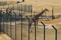 Al Ain Garden City Tour From Dubai