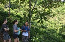 High Mountain Day Trek