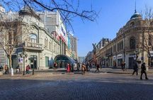 Private Customized Harbin City Day Tour by Public Transportation