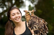Bali Bird Park Admission Ticket with Hotel Transfer